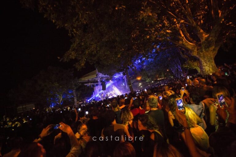 Le public réuni sous les arbres du théâtre de verdure de Patrimonio pendant un concert du festival