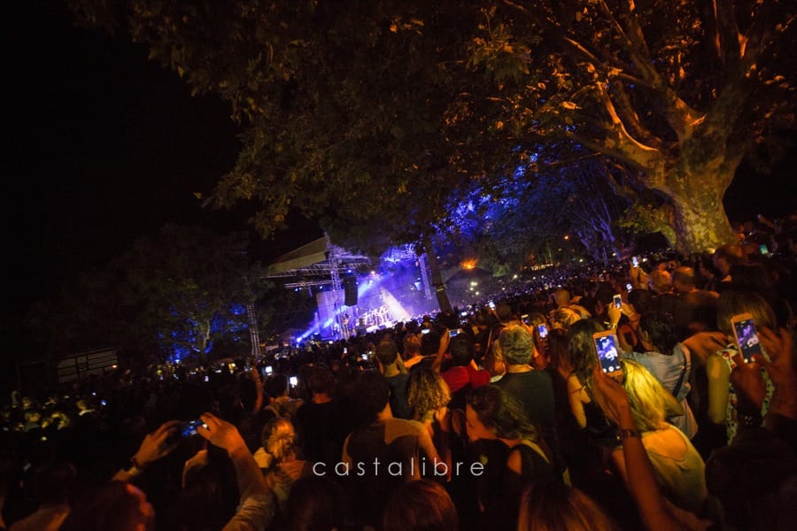 Le public réuni sous les arbres du théâtre de verdure de Patrimonio pendant un concert du festival