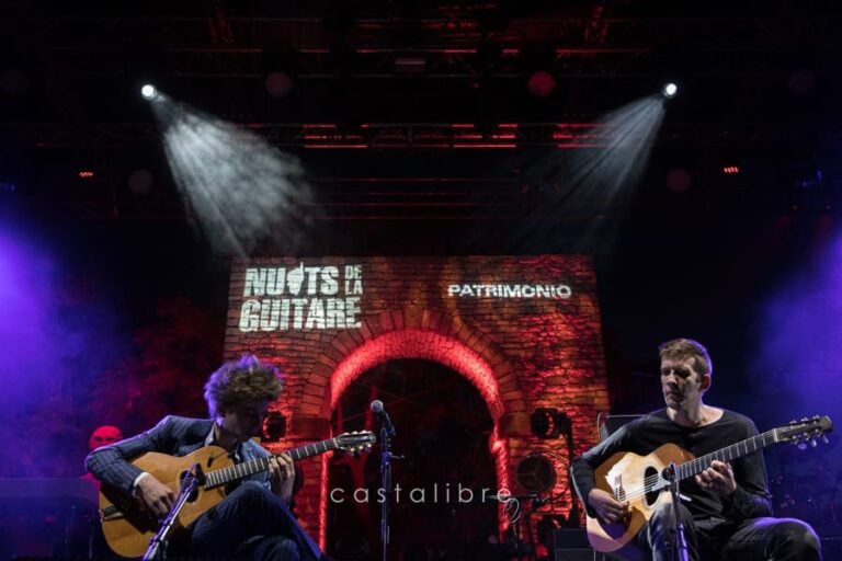Concert au festival de Patrimonio, photo 14