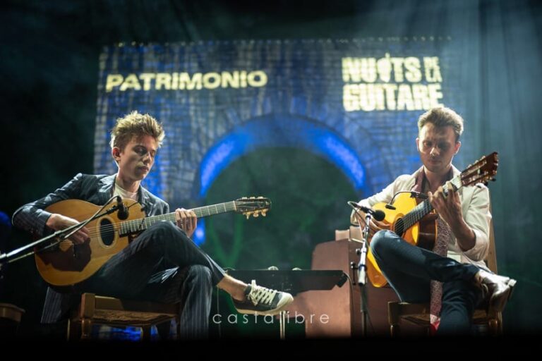 Concert au festival de Patrimonio, photo 18