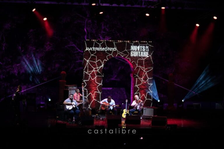 Concert au festival de Patrimonio, photo 23