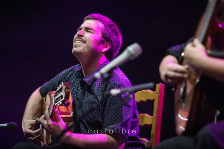 Concert au festival de Patrimonio, photo 27